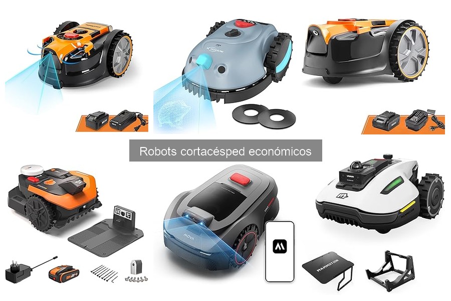 ¿Qué es un robot cortacésped económico? Descubre sus características