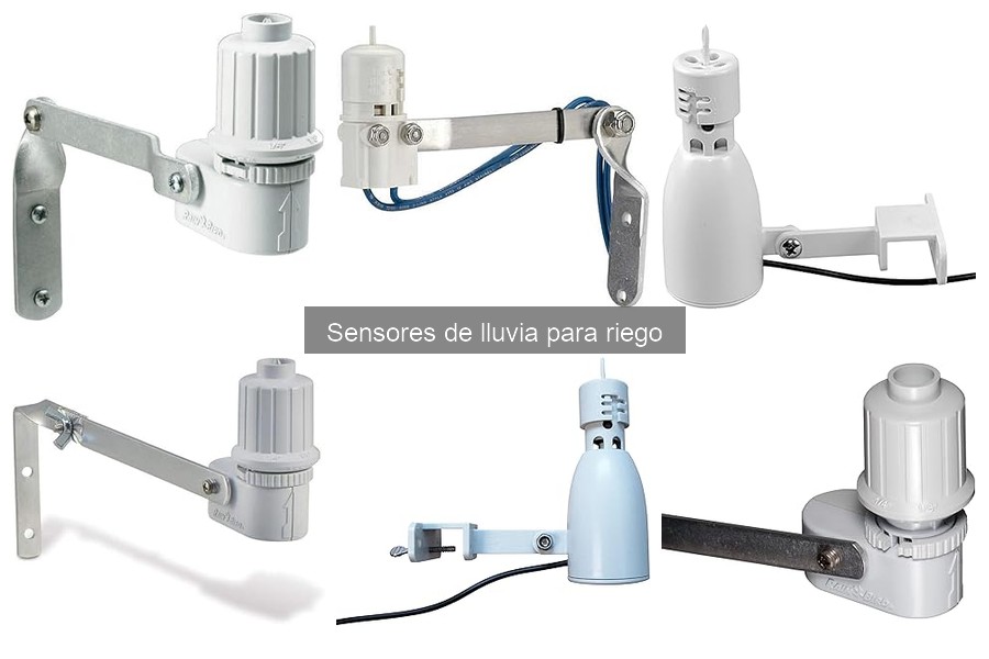¿Qué es un sensor de lluvia para riego? Guía sencilla