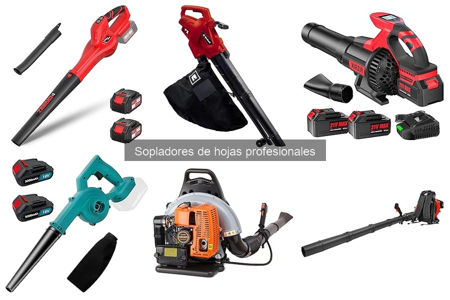 ¿Qué es un soplador de hojas profesional? Definición y características