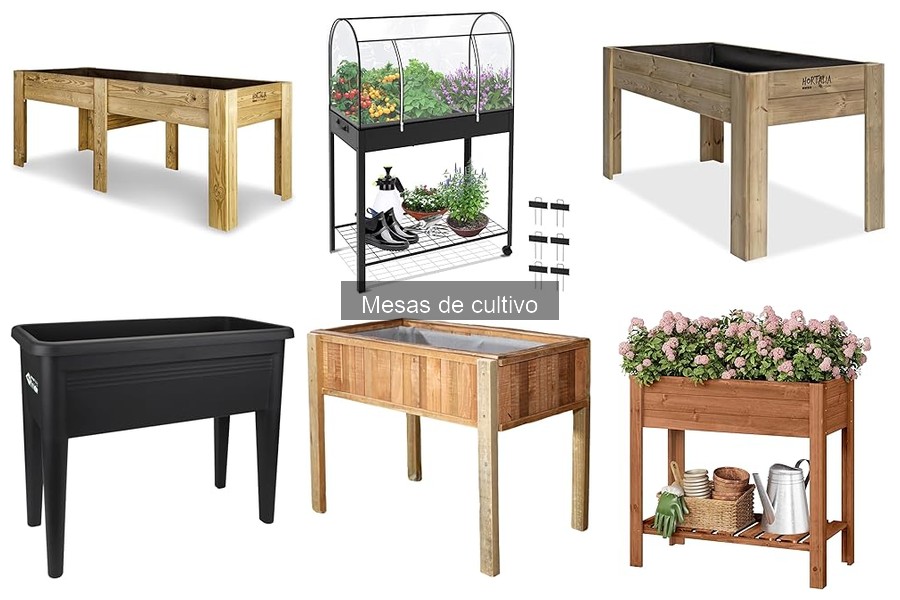 ¿Qué es una mesa de cultivo? Características y beneficios