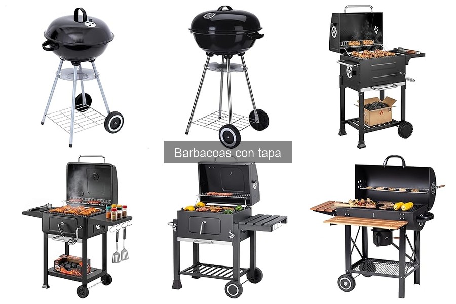 Recetas deliciosas para barbacoa con tapa