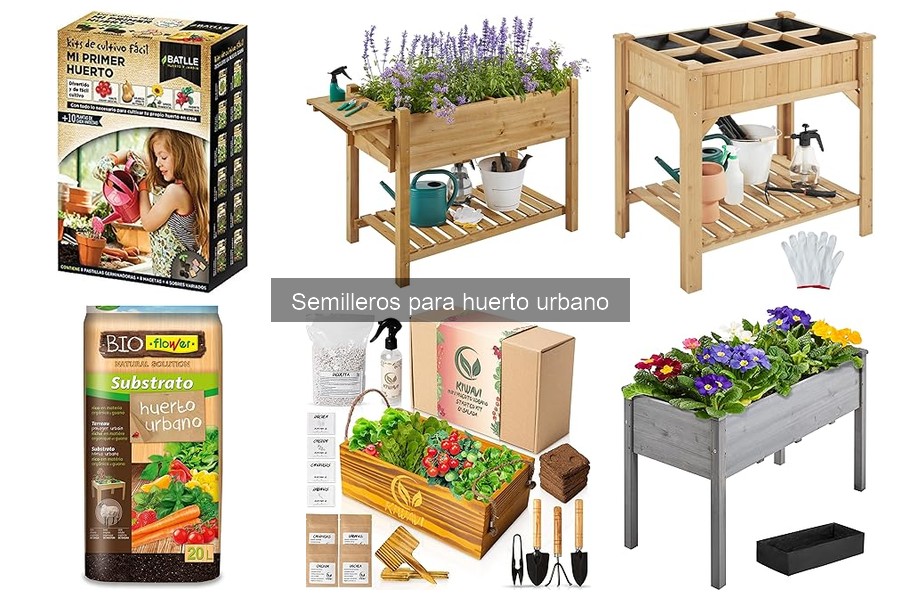 Semilleros ideales para plantas en huertos urbanos
