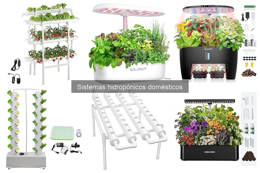 Soluciona Problemas de pH en Sistemas Hidropónicos Eficazmente