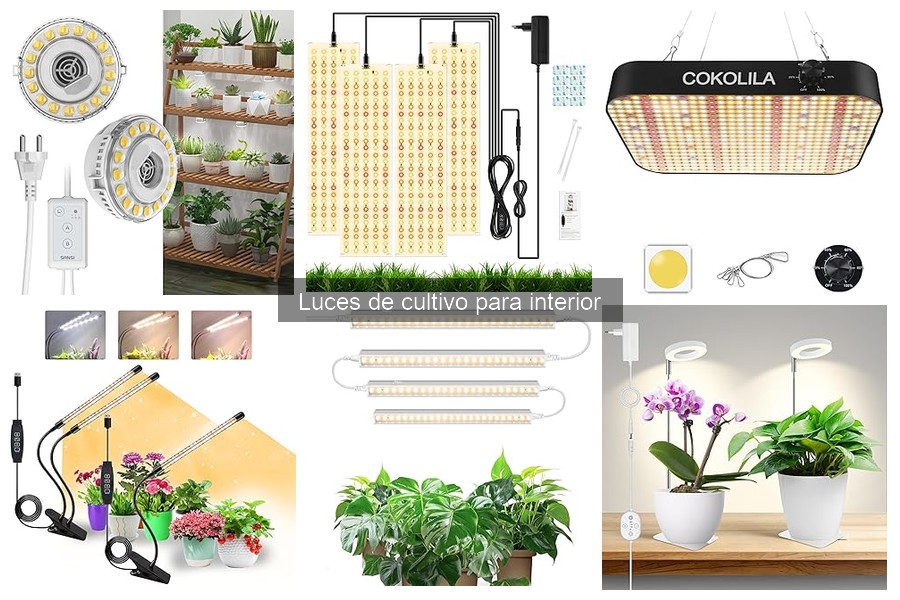 Solucionando Problemas Comunes con Luces de Cultivo