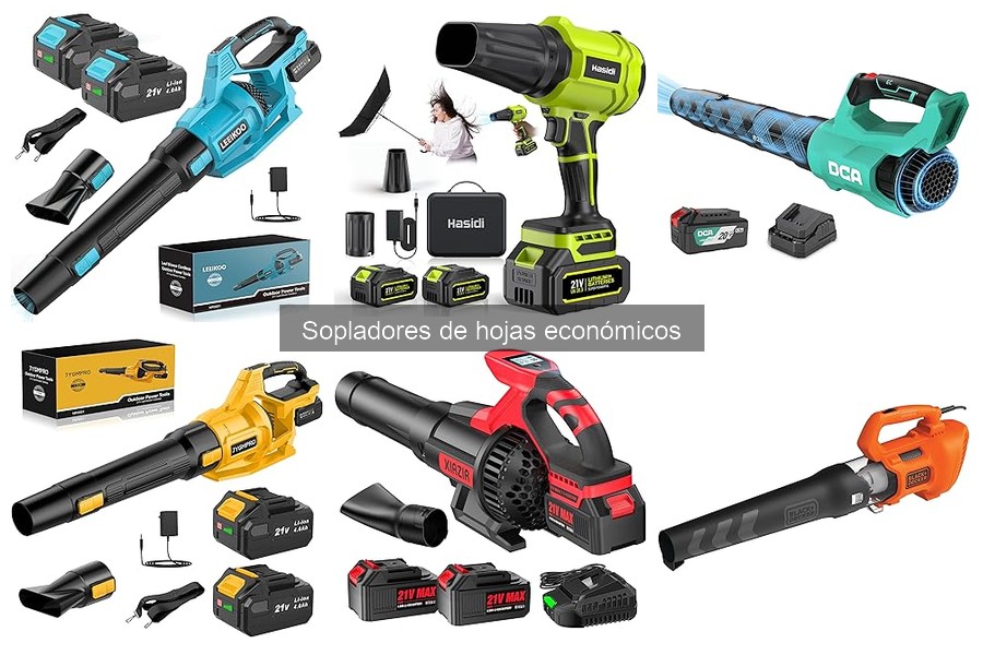 Solucionando problemas comunes de sopladores de hojas económicos