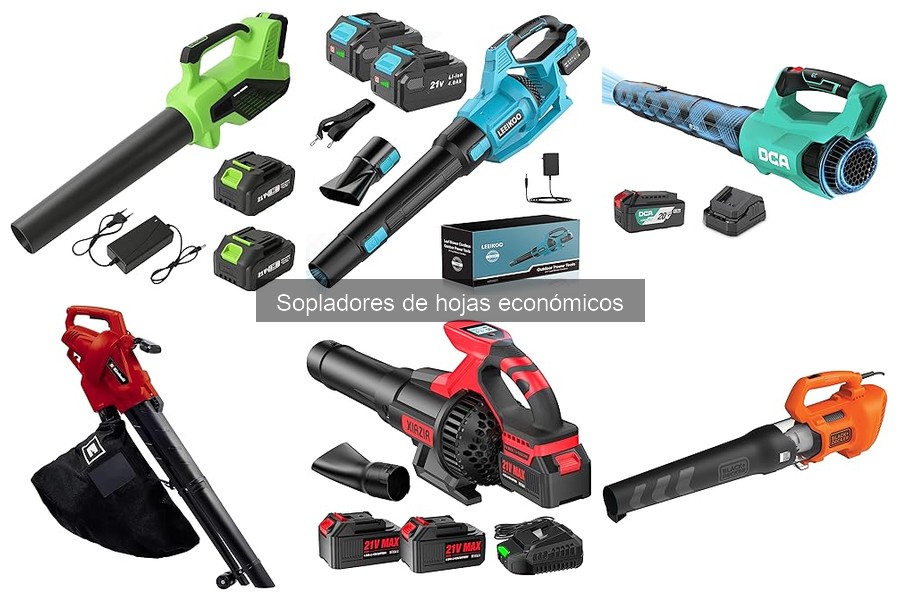 Sopladores de hojas económicos para jardines pequeños