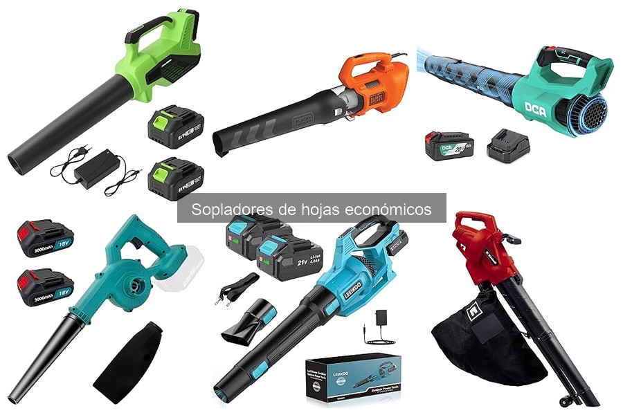 Sopladores de hojas económicos: ¿Qué son y sus ventajas?