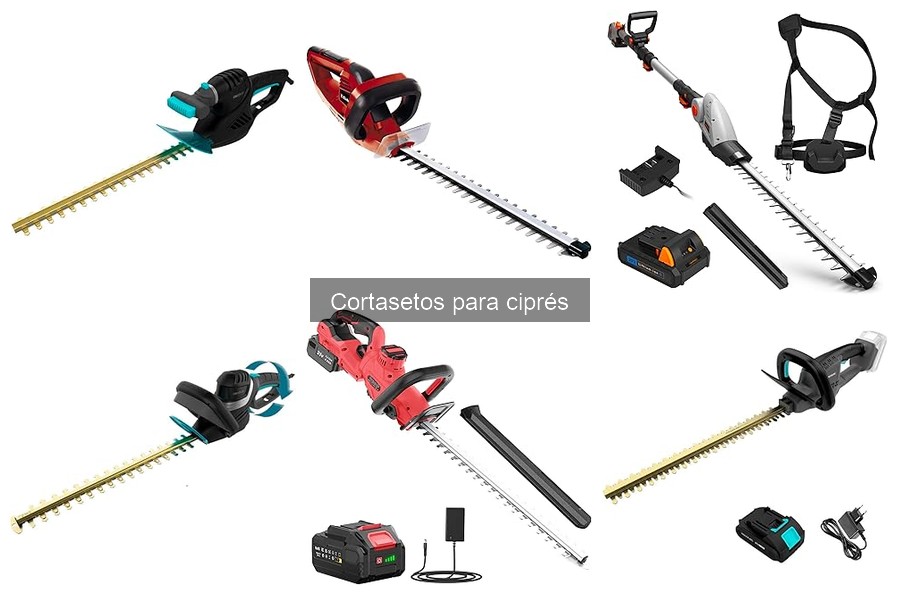 Tamaño ideal de cortasetos para cipreses: guía práctica