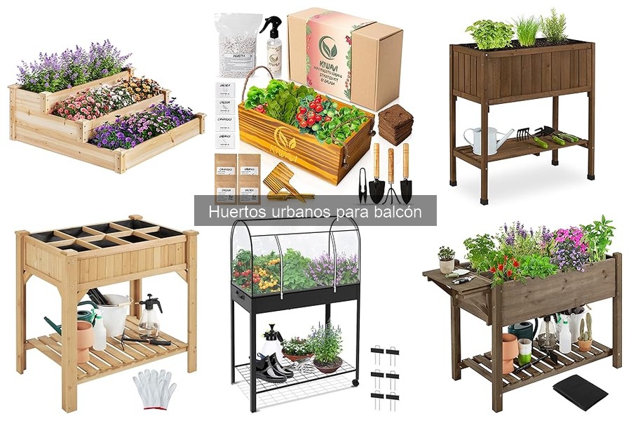 Temporadas ideales para plantar en un huerto urbano de balcón