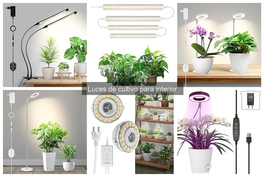 Tendencias en luces de cultivo para interior en 2023