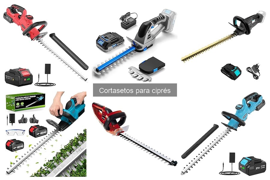 Tipos de cortasetos para cipreses: guía completa 2023