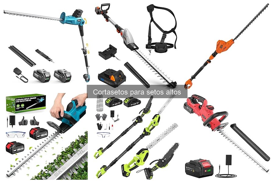 Tipos de Cortasetos para Setos Altos: Guía Completa