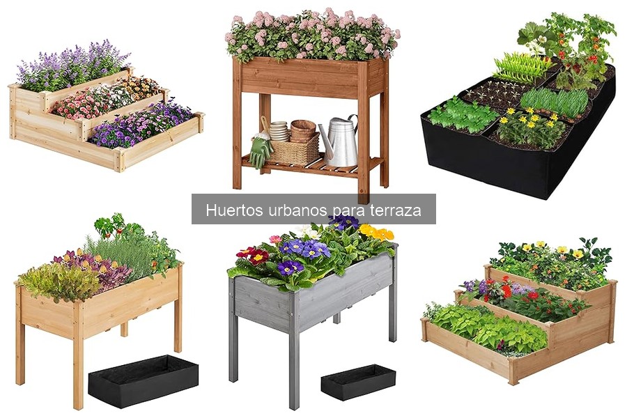 Tipos de huertos urbanos: ¿Cuál elegir para tu terraza?