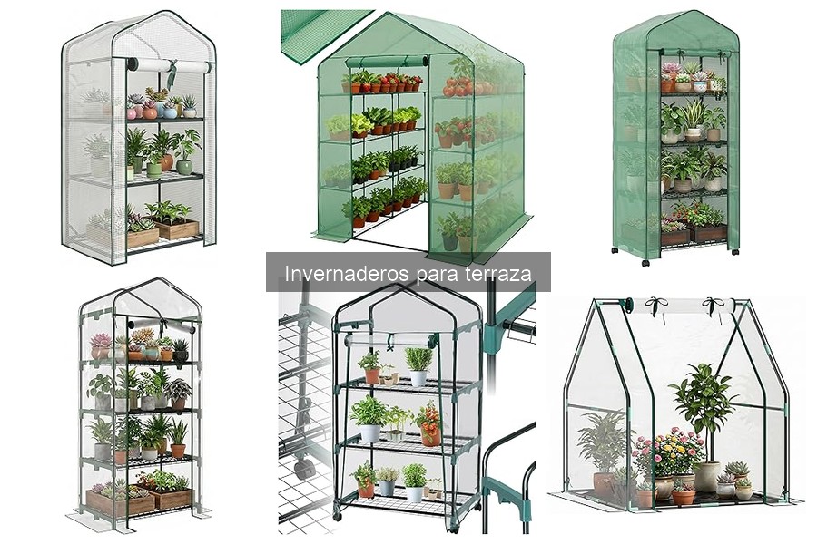 Tipos de invernaderos para terraza y sus usos