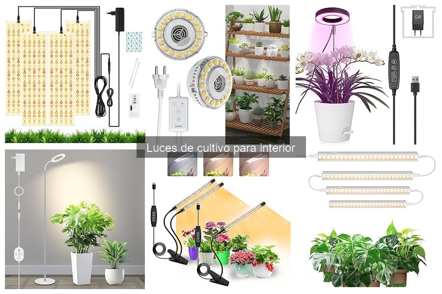 Tipos de luces de cultivo para interior: guía completa