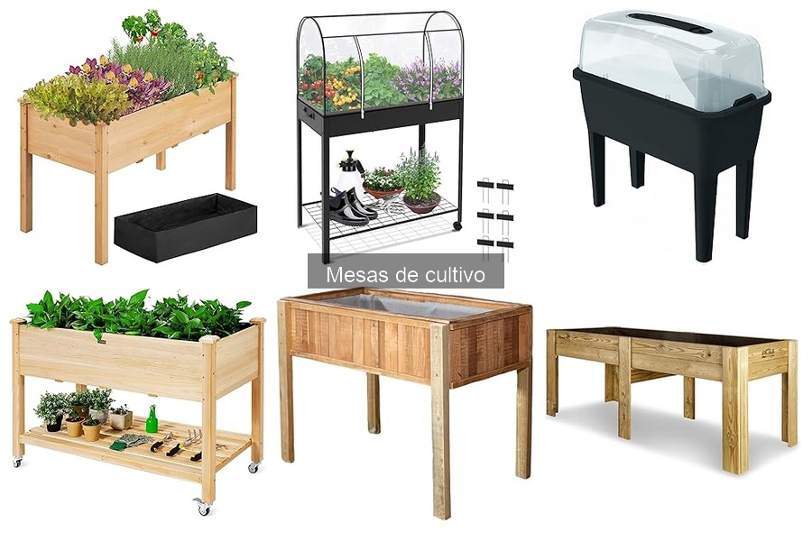Tipos de mesas de cultivo: fijas, móviles y más