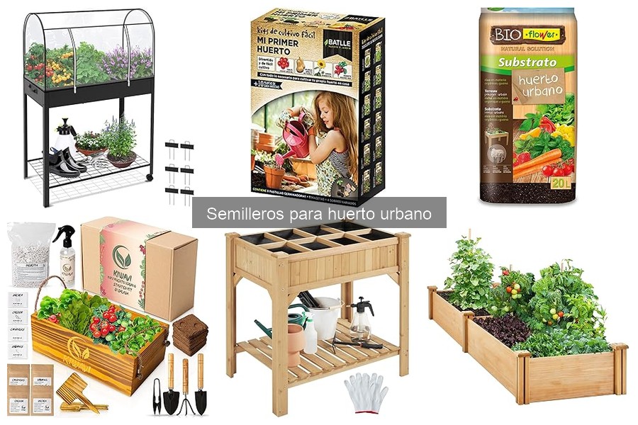 Tipos de semilleros para huerto urbano: Guía práctica