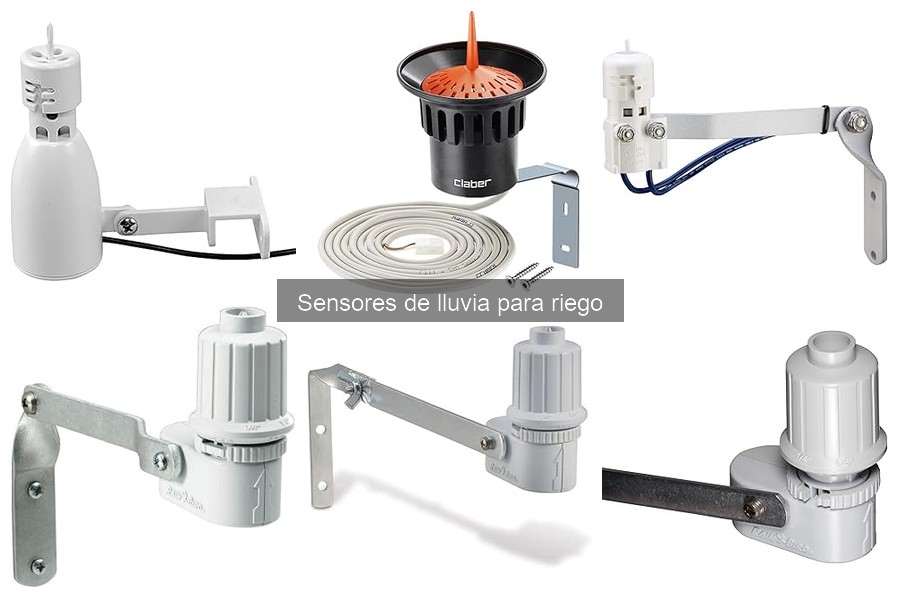 Tipos de Sensores de Lluvia para Riego: Guía Completa