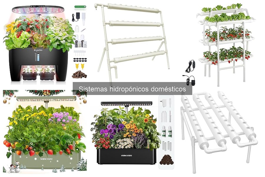 Tipos de sistemas hidropónicos: guía completa para elegir