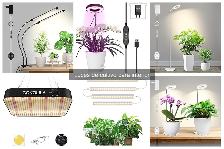 Usos de Luces de Cultivo para Diferentes Plantas