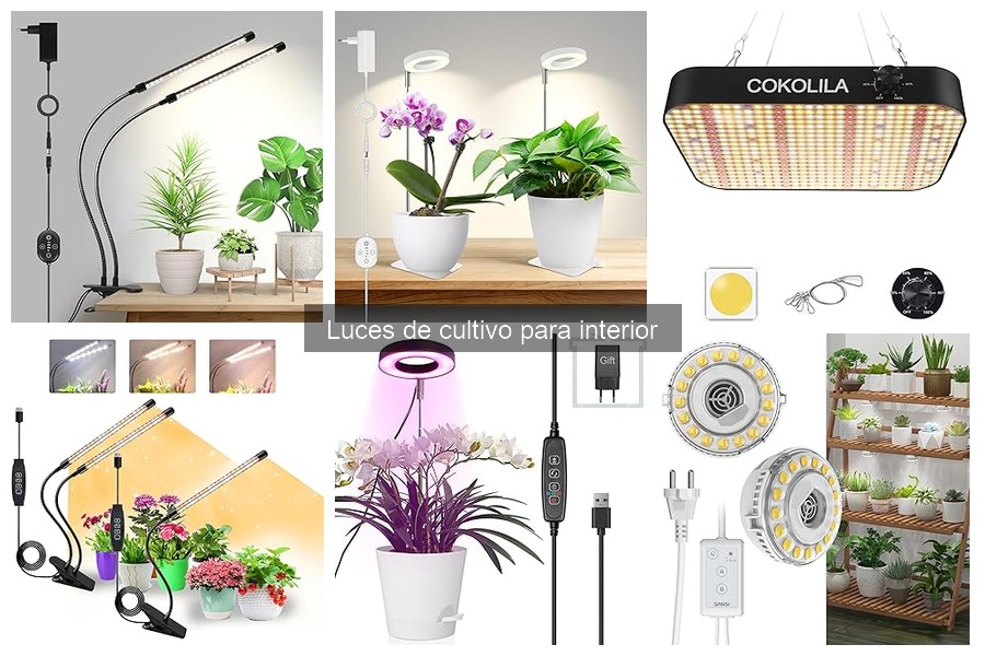 Ventajas de las luces de cultivo para interior