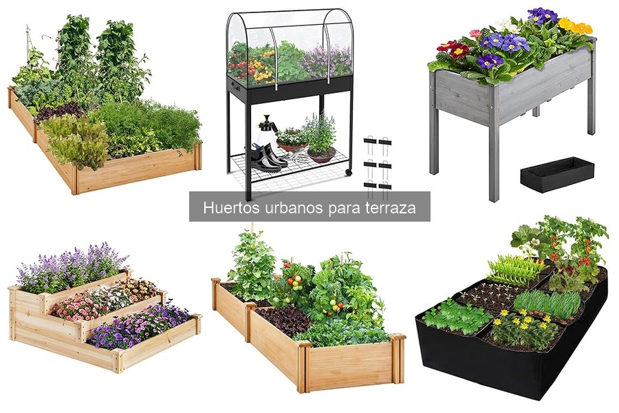 Ventajas de Tener un Huerto Urbano en la Terraza