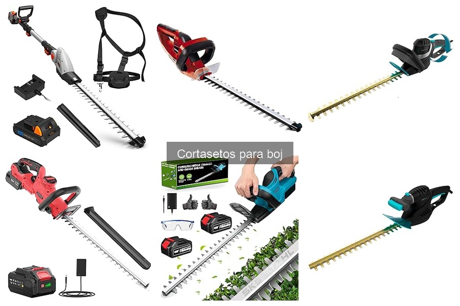 Ventajas de un Cortasetos para Boj en tu Jardín