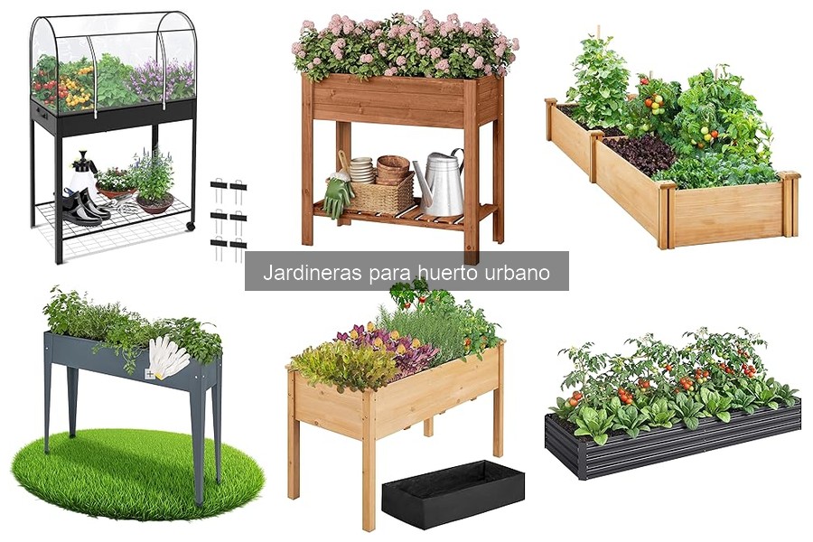 Ventajas de Usar Jardineras en tu Huerto Urbano