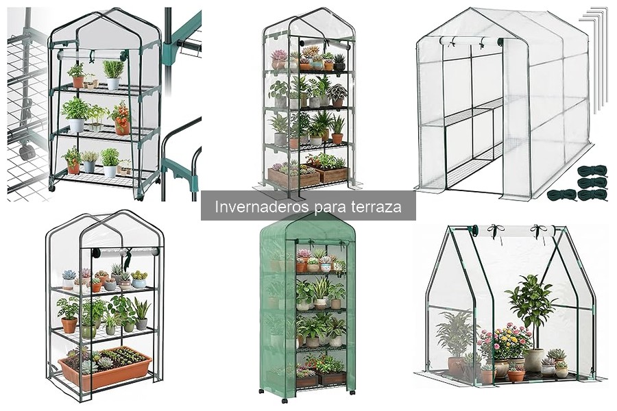 Ventajas de usar un invernadero en la terraza para tus plantas