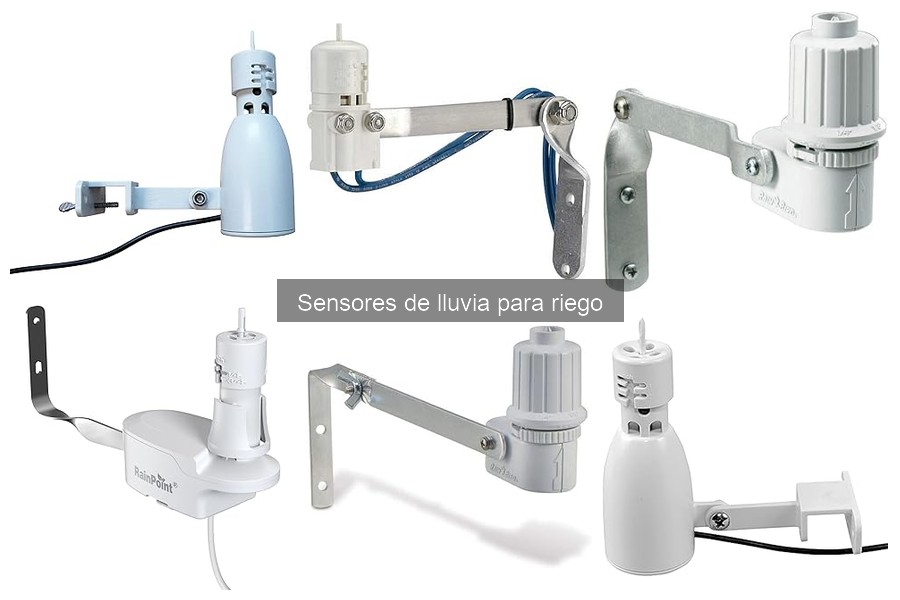 Ventajas de usar un sensor de lluvia para riego