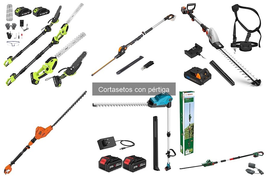 Ventajas del Cortasetos con Pértiga: Eficiencia y Alcance