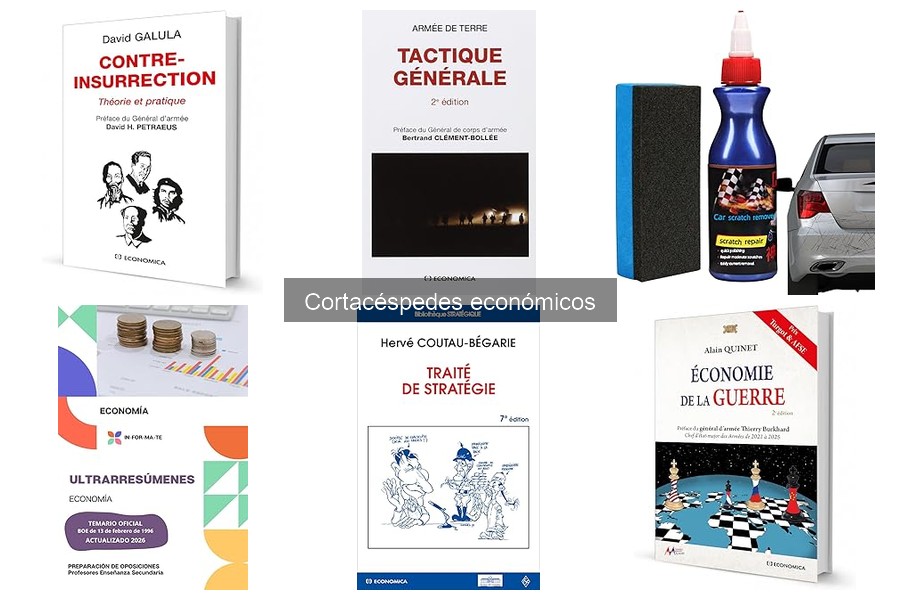 Ventajas y desventajas de cortacéspedes económicos