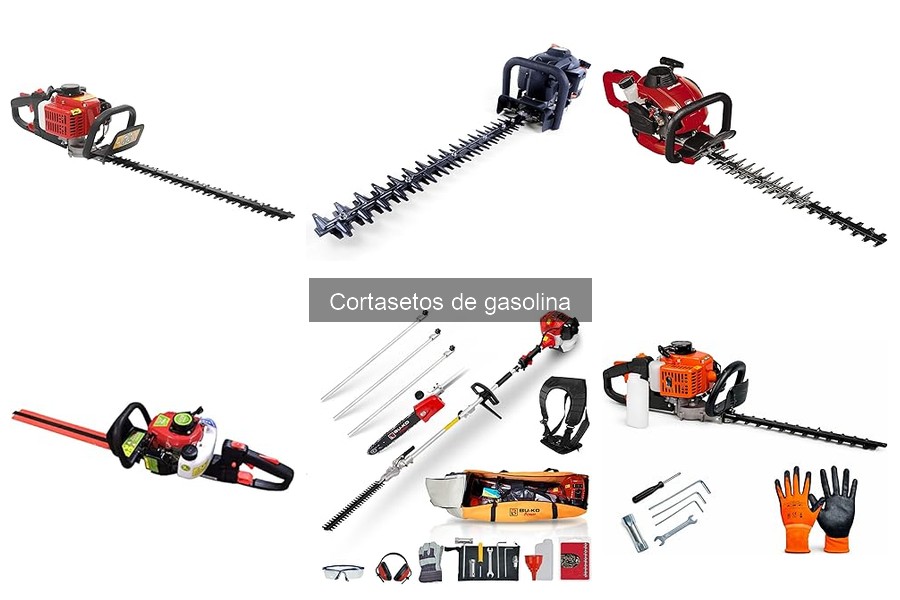 Ventajas y Desventajas de Cortasetos de Gasolina