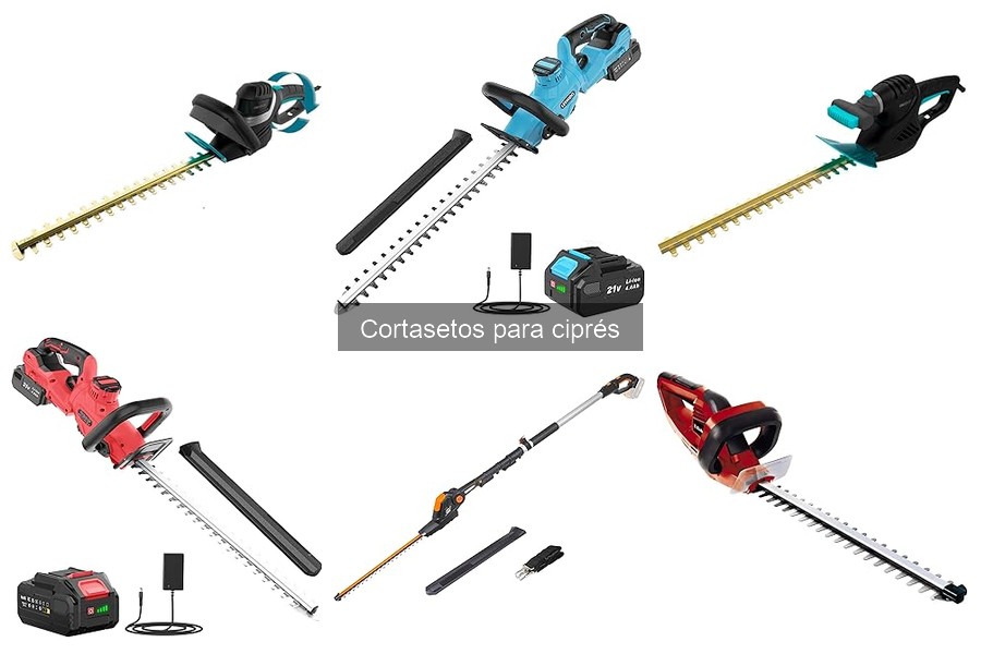 Ventajas y desventajas de cortasetos para cipreses