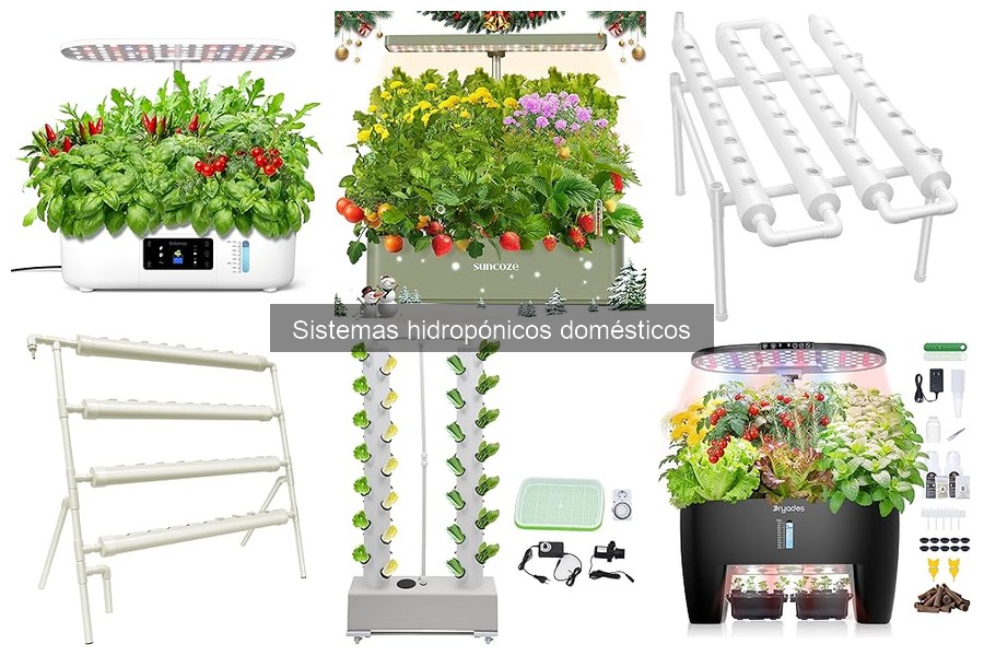 Ventajas y Desventajas de la Hidroponía en Casa