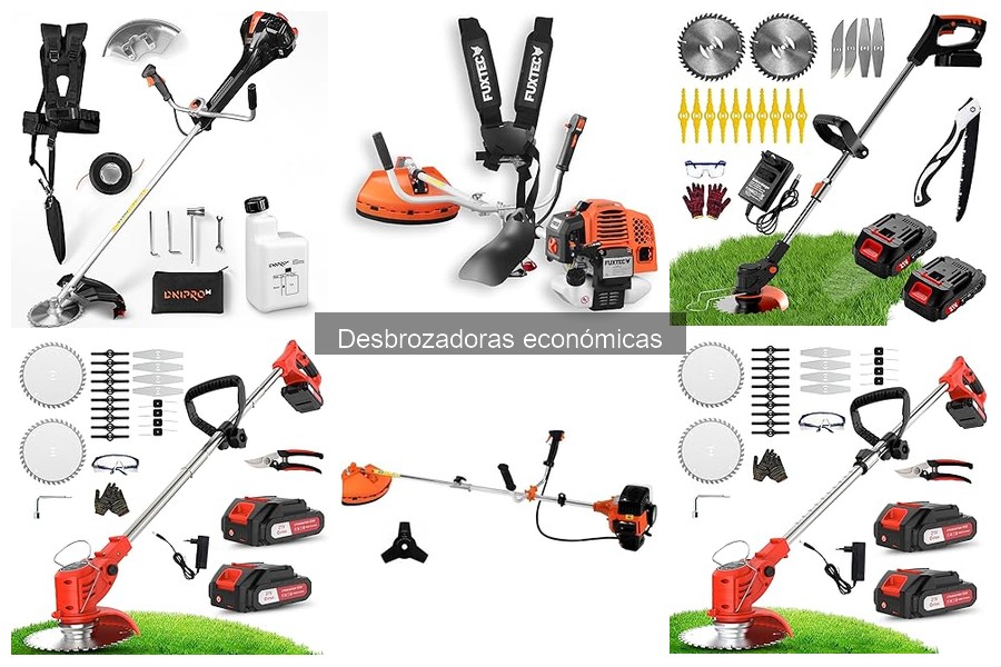 Ventajas y desventajas de las desbrozadoras económicas