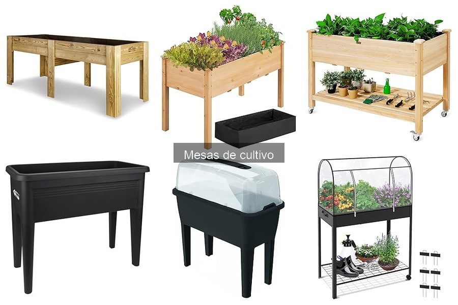 Ventajas y desventajas de las mesas de cultivo en tu jardín