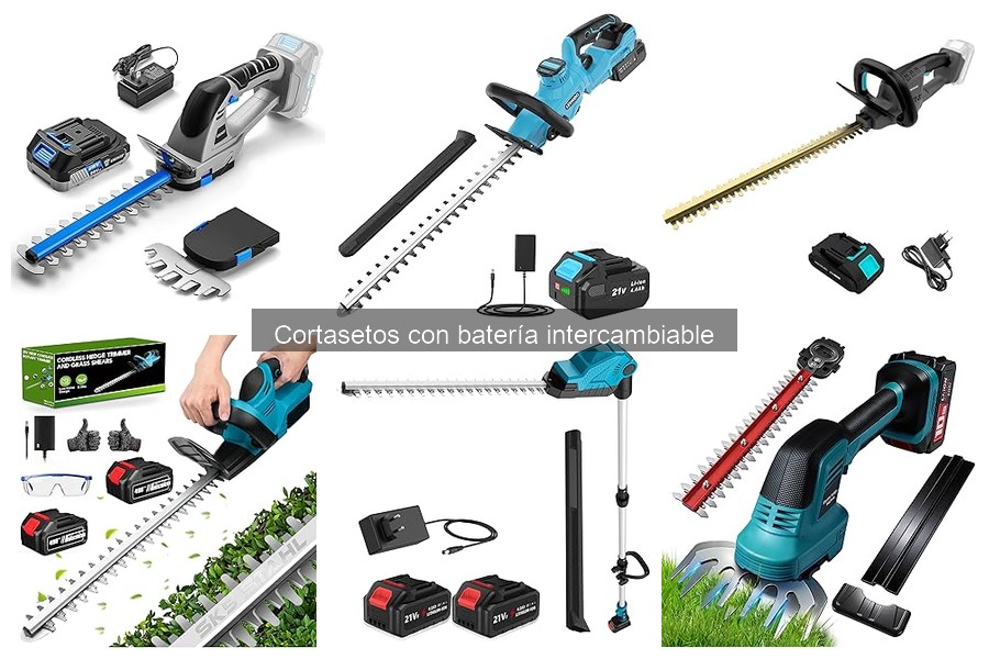 Ventajas y desventajas de los cortasetos con batería intercambiable
