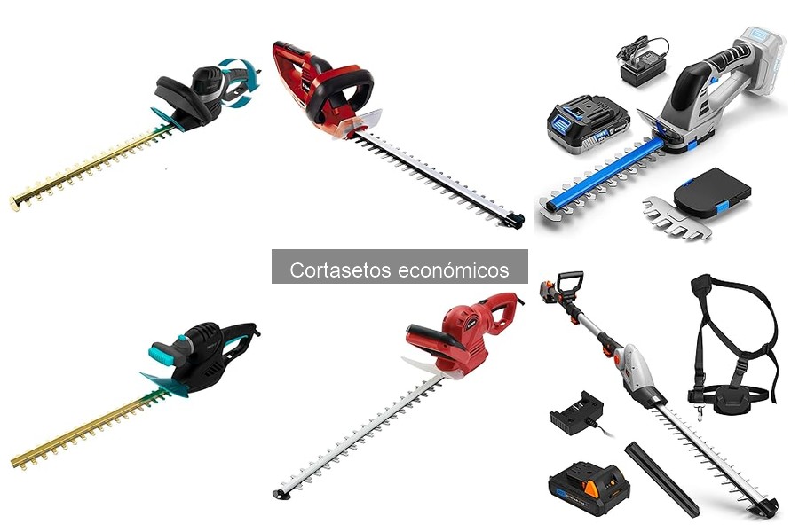 Ventajas y desventajas de los cortasetos económicos