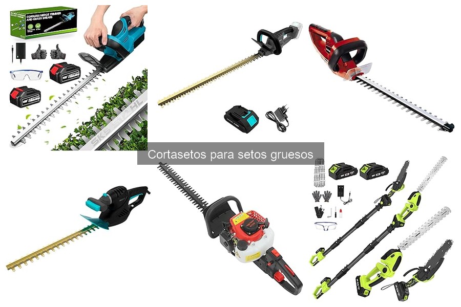 Ventajas y desventajas de los cortasetos eléctricos