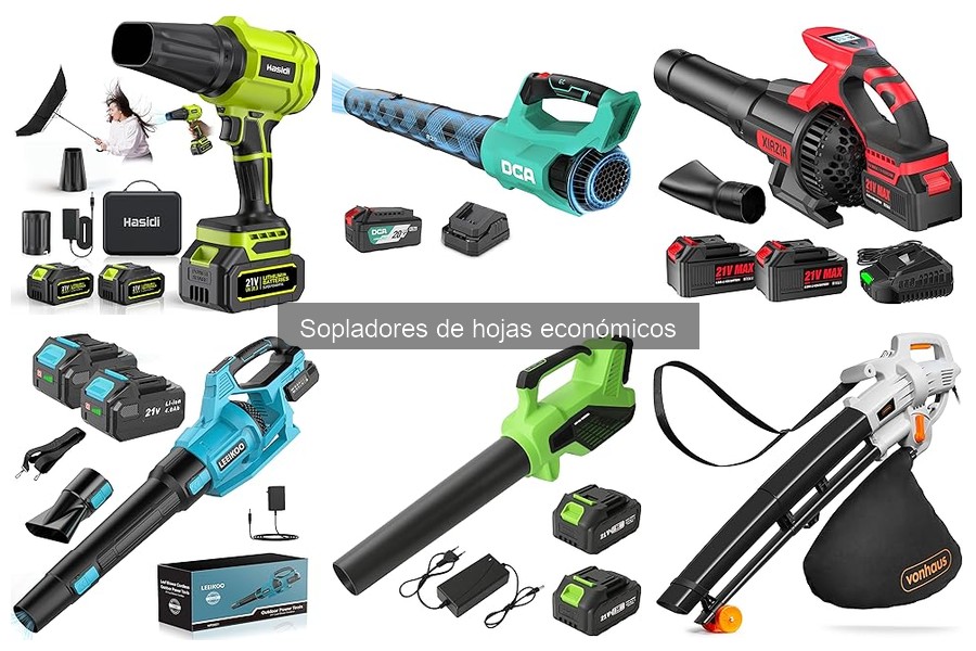 Ventajas y Desventajas de Sopladores de Hojas Económicos