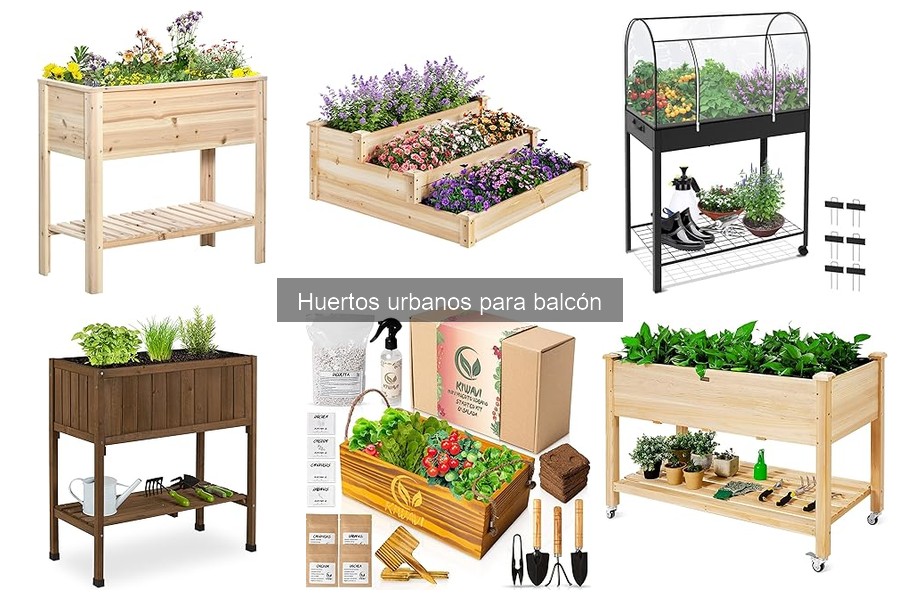 Ventajas y desventajas de un huerto urbano en el balcón